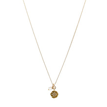Load image into Gallery viewer, Light &amp; Salt Necklace - Gold